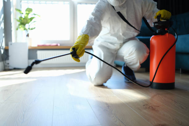 Reliable Bedford, VA Pest Control Solutions