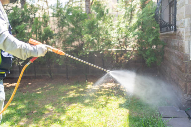 Best Pest Control Near Me in Bedford, VA