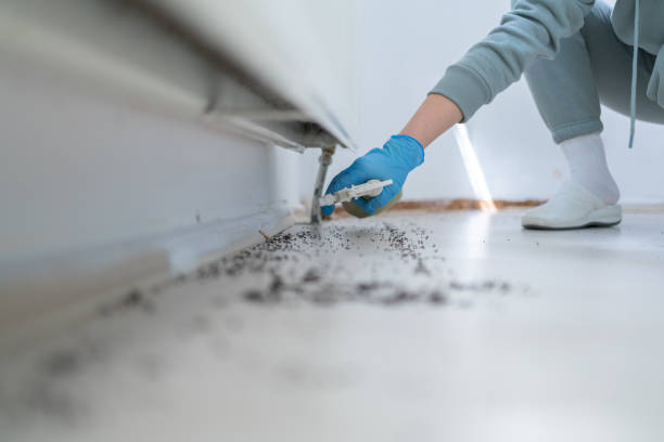Best Rodent Control Near Me  in Bedford, VA