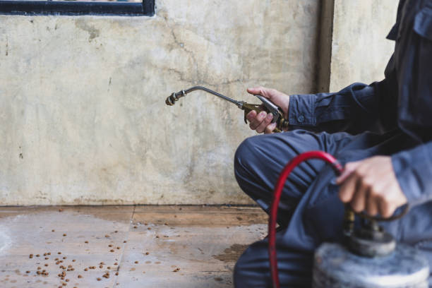 Best Exterminator Services  in Bedford, VA